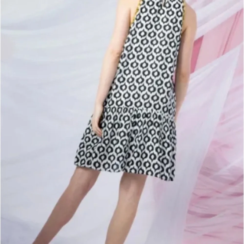 Embroidered Dress with Back Ruffle - Picture 2 of 5